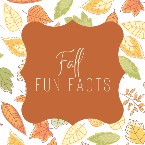 Fall Fun Facts